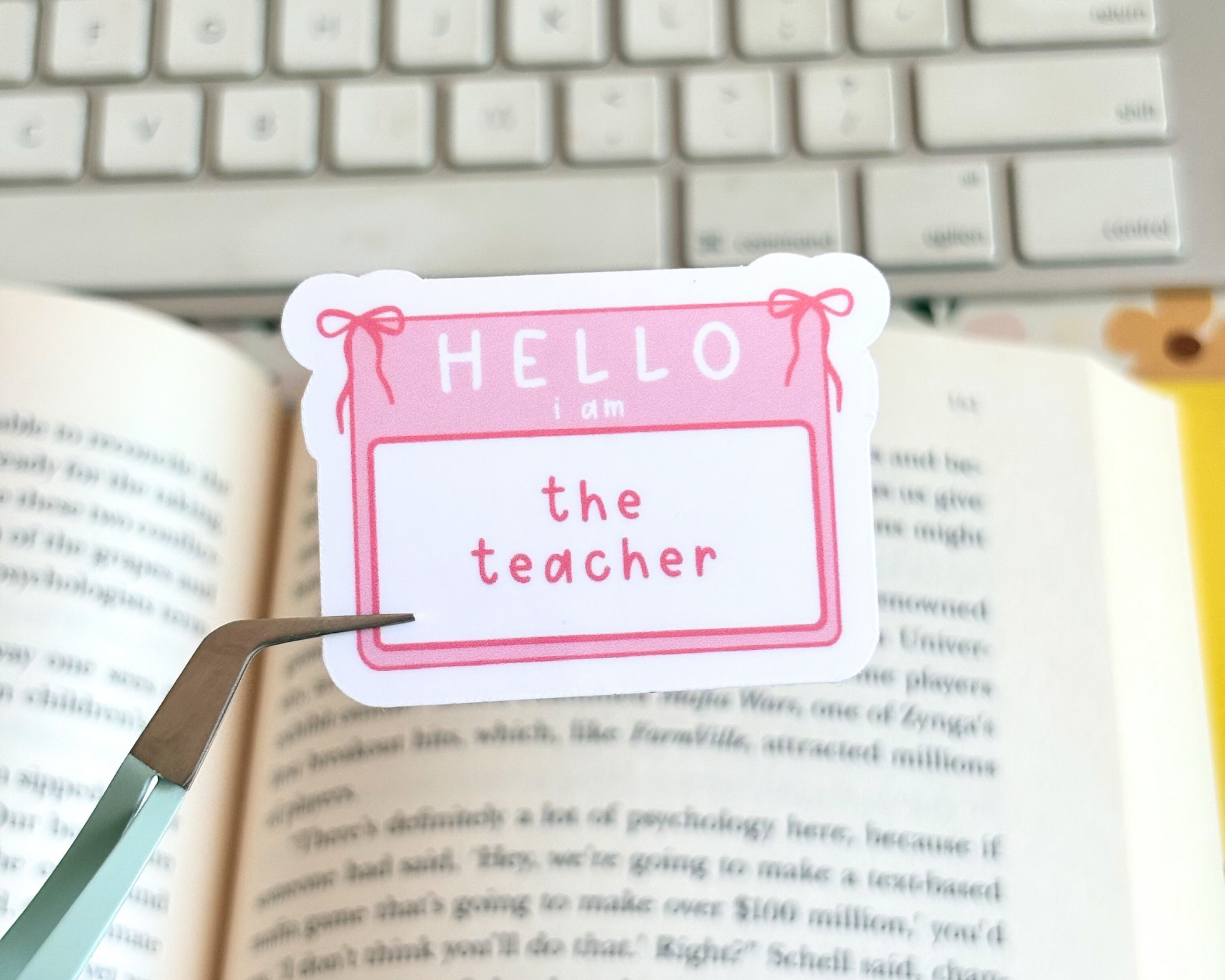 The Teacher